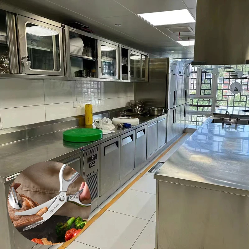 Seiko paslanmaz çelik mavi deg - Kitchen Gadgets Latest incelemesi ve fiyatı