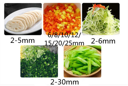 Otomatik Sebze Patates Doğrayı - Vegetable Chopper incelemesi ve fiyatı